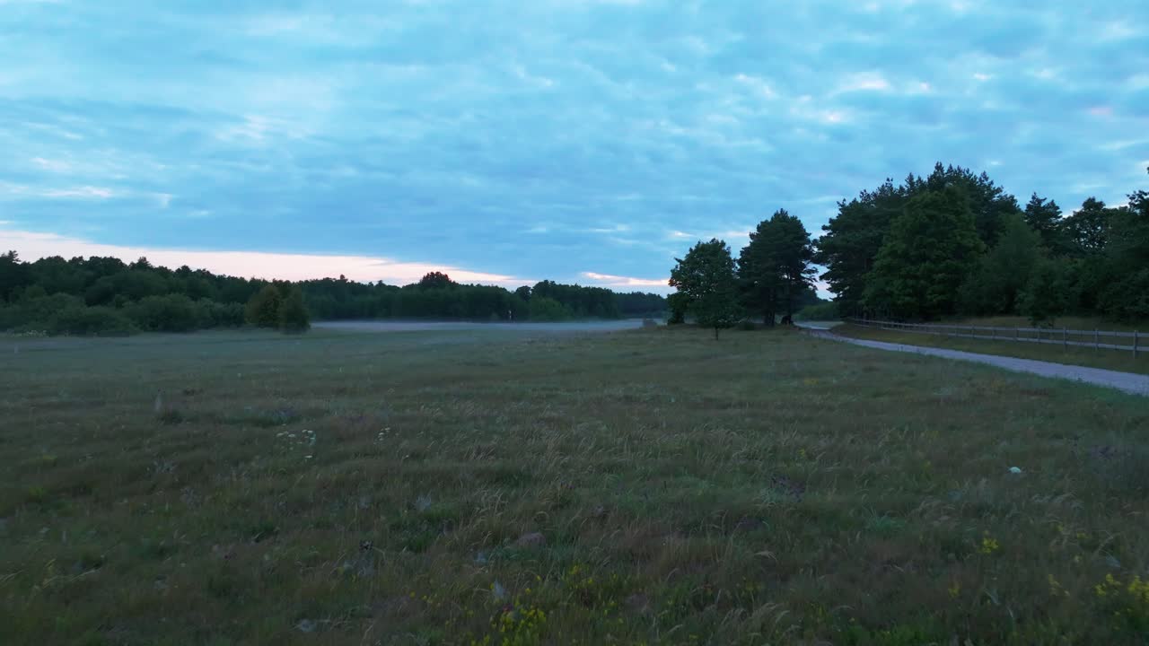 Flying over a misty field, surrounded by trees