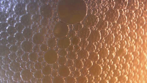 Beer-Head,-macro-close-up-of-beer-frothy-foam-beverage-inside-glass-with-active-bursting-fizzy-bubbles-of-CO2-gas,-carbon-dioxide