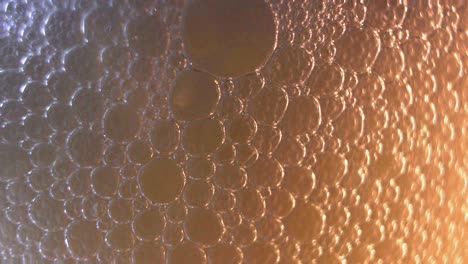 beer head, macro close-up of beer frothy foam beverage inside glass with active bursting fizzy bubbles of co2 gas, carbon dioxide