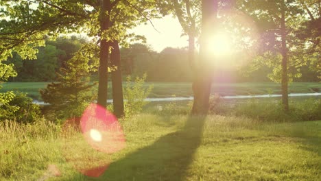 Drone-pulls-back-and-slides-right-slowly-with-a-river-and-trees-in-the-golden-evening-light-with-bugs-flying-around