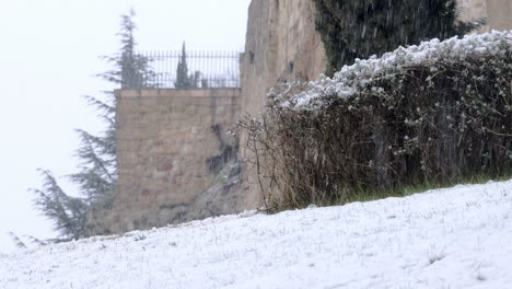 Schnee-Fällt-Neben-Einem-Busch