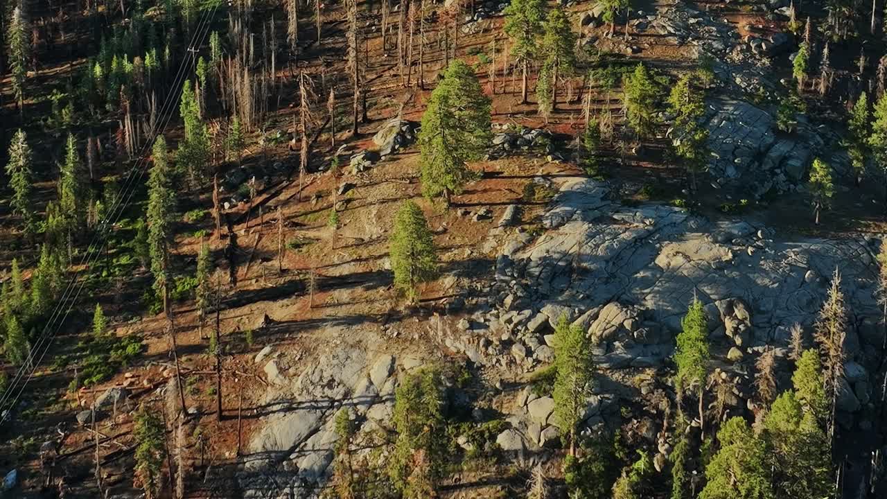 Vy över skog och klippor ovanifrån i USA under dagsljus