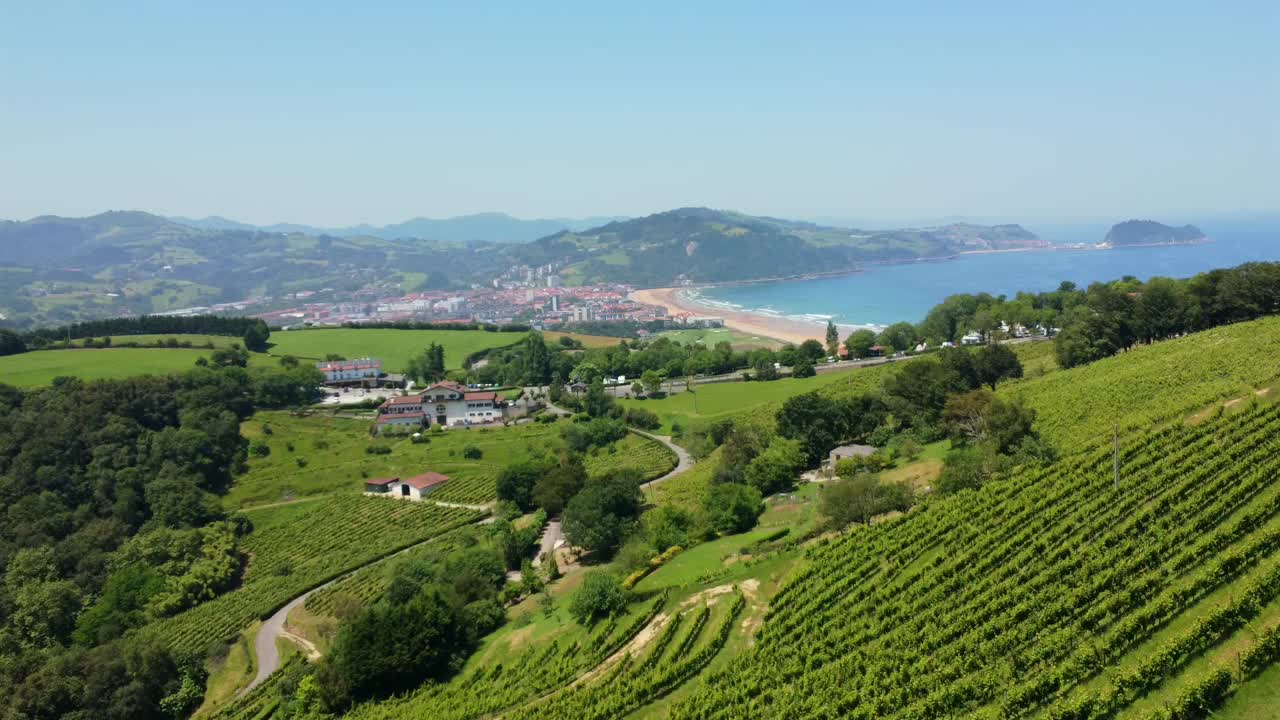 Scenic Vineyard Landscape Overlooking Coastal Town