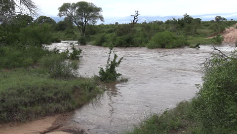 inundación repentina en el río del parque de caza africano