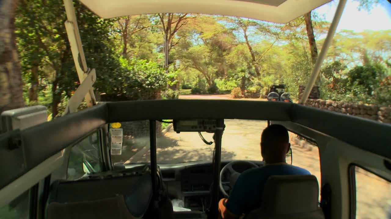아프리카를 통해 오픈 탑 사파리 차량에서 운전하는 pov 샷