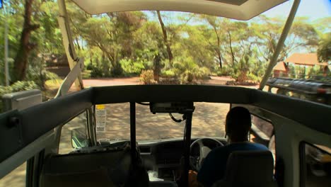 tiro pov conduciendo en un vehículo de safari con la parte superior abierta a través de áfrica
