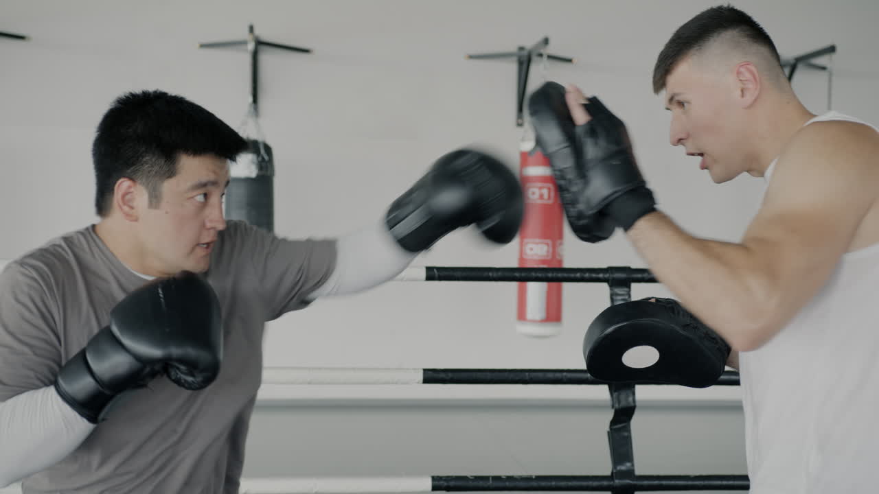 권투 훈련 세션