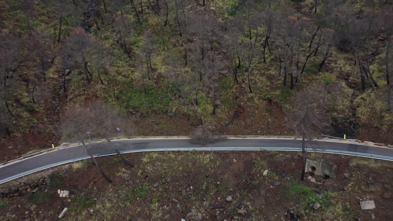 산길을 막고 있는 쓰러진 나무, 공중 드론 사진