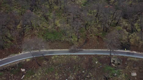 fallen tree blocking mountain road, aerial drone view