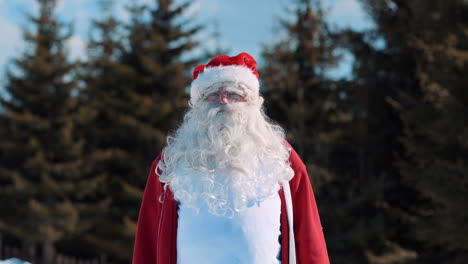 Santa-is-standing-and-looking-at-the-camera,-against-the-backdrop-of-pine-trees-during-the-day