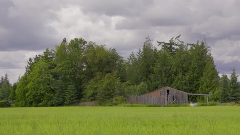 Alte-Scheune-Auf-Ackerland-Während-Bewölktem-Tag