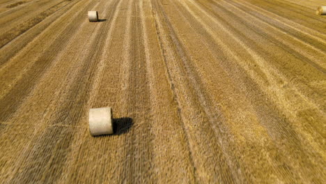 Luft-über-Geerntetem-Feld-Von-Goldenem-Getreide-Mit-Runden-Heuballen,-Die-In-Der-Sonne-Trocknen