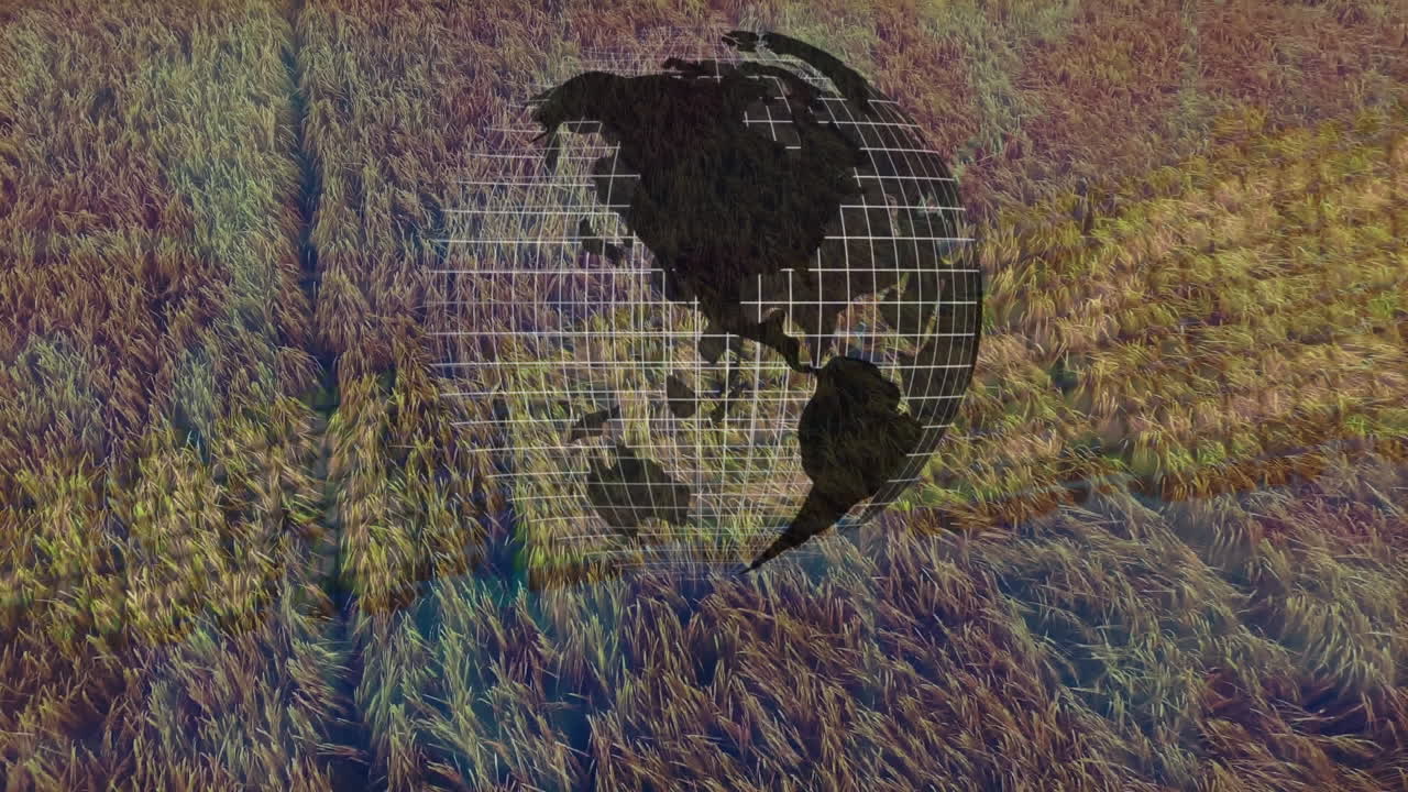 animación del mundo y el procesamiento de datos financieros en el campo de la agricultura