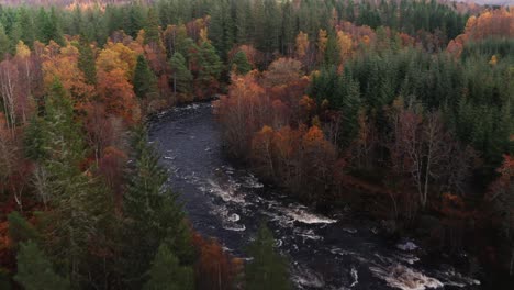 Antena-Drone-Paso-Elevado-Pan-Abajo-De-Los-Rápidos-Del-Río-En-Otoño-De-Escocia