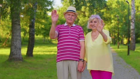 senior stylish couple grandmother grandfather smiling friendly waving hands gesturing hello, goodbye