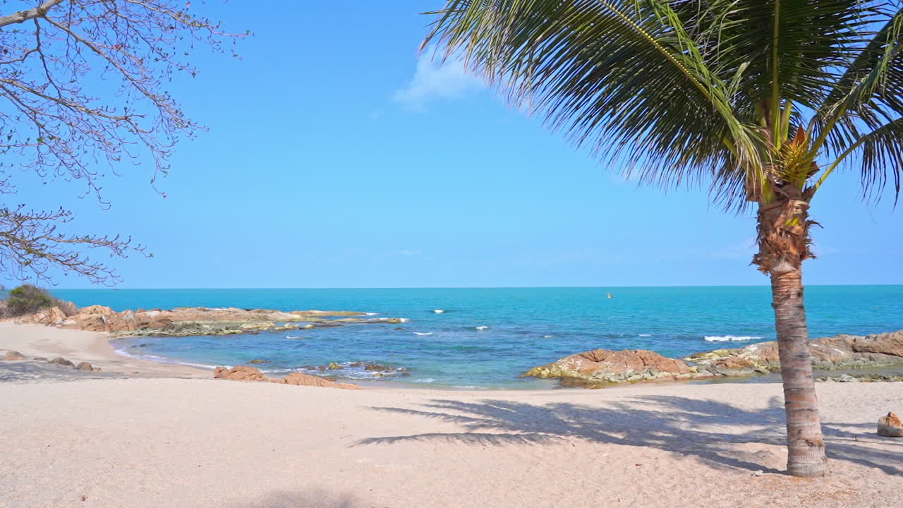 열대 바다 전망을 내다보는 모래사장에 있는 야자수의 중간 클로즈업