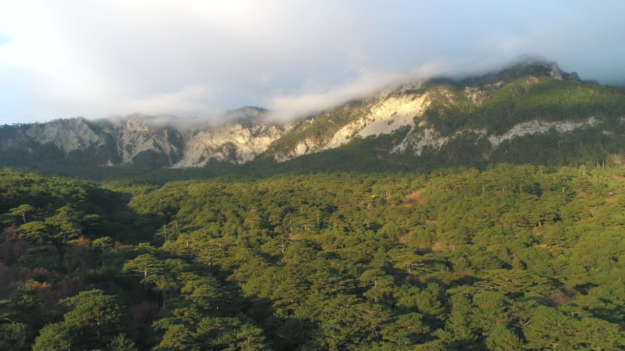 Mountainous Forest Landscape with Misty Peaks