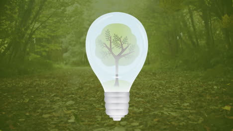 animation of lightbulb over forest