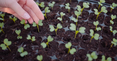 mujer botánica examinando plantas en el invernadero 6