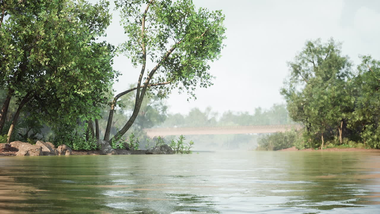 안개 와 나무 들 이 있는 조용 한 강 풍경