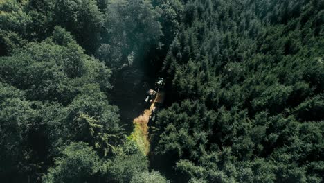 Tractors-on-a-forest-path-surrounded-by-dense-green-trees-in-daylight,-aerial-view