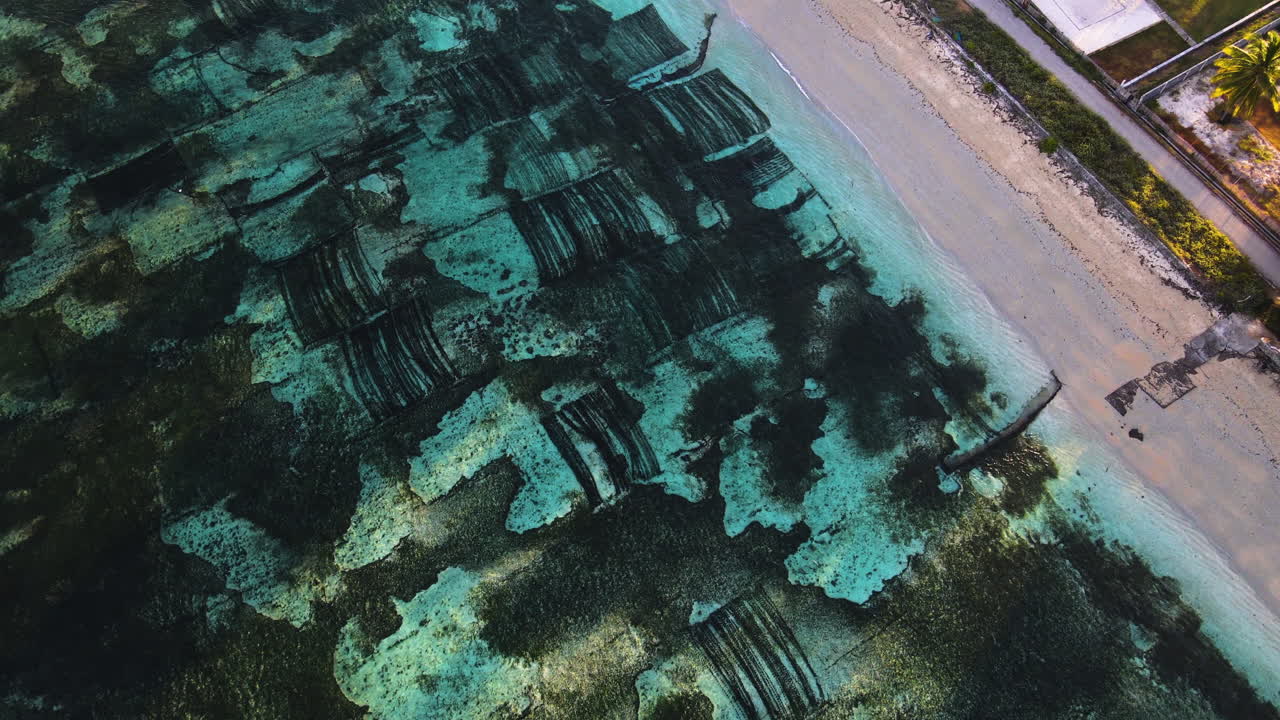 Kelp Farm - Aerial view of Seaweed Farm By The Pantai Kertasari Beach In Indonesia.