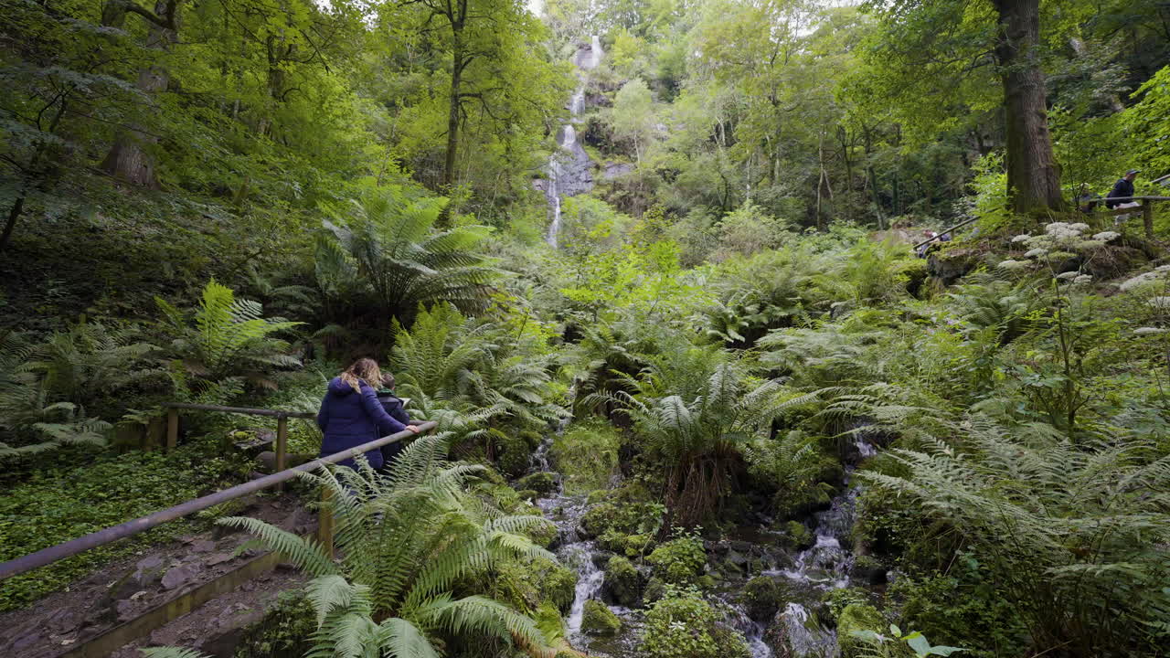 Picturesque Waterfall in a Lush Forest