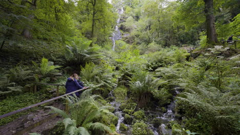 picturesque waterfall in a lush forest