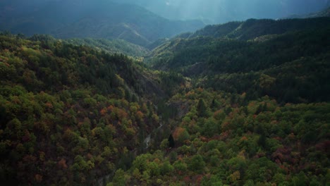 a drone flies above a beautiful forest with fall colors with amazing sunlight coming down from the mountains in the horizon