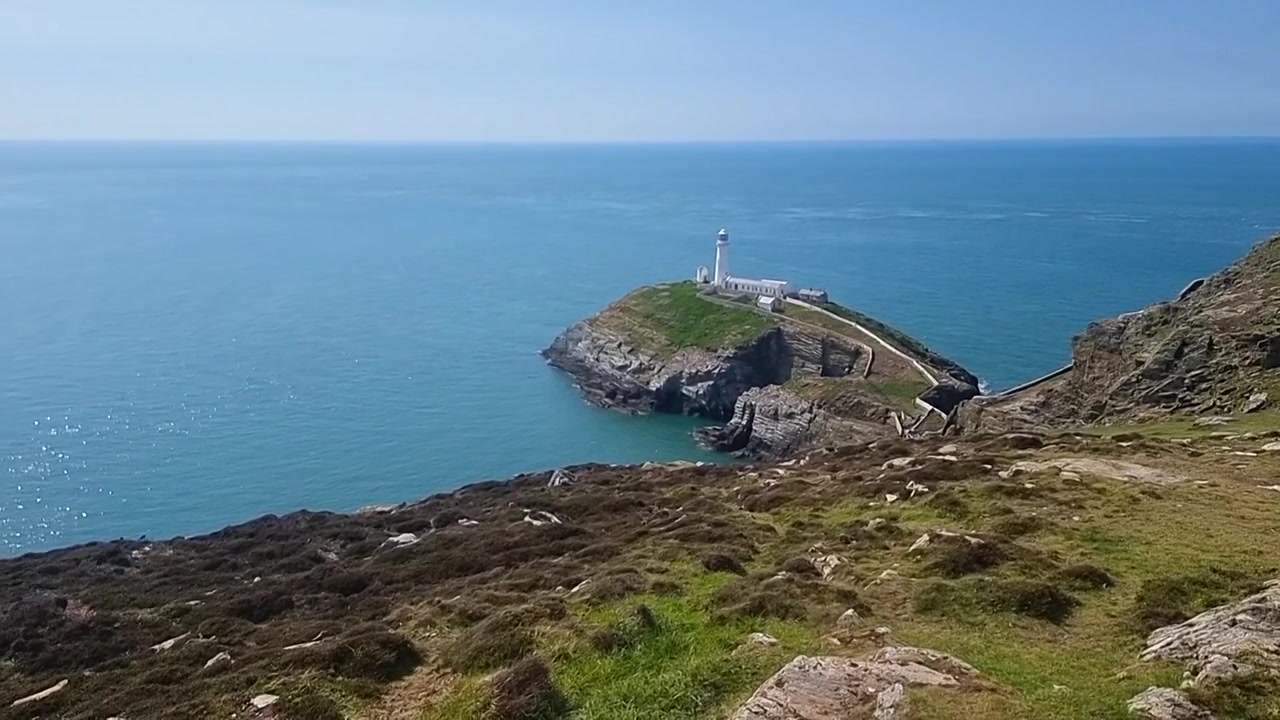 Panoramica al rallentatore attraverso la collina di erica di South Stack verso la destinazione turistica del faro sull'isola.
