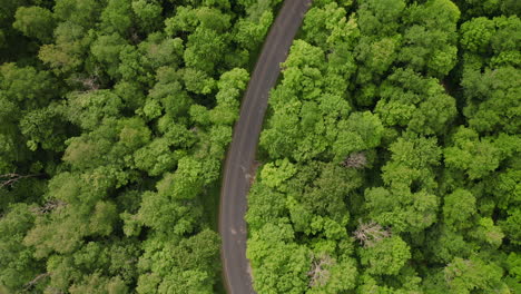 Luftdrohne-Fliegt-über-Kurvige-Landstraße-Durch-Hellen,-Grünen-Wald-In-Zentral-Pennsylvanien