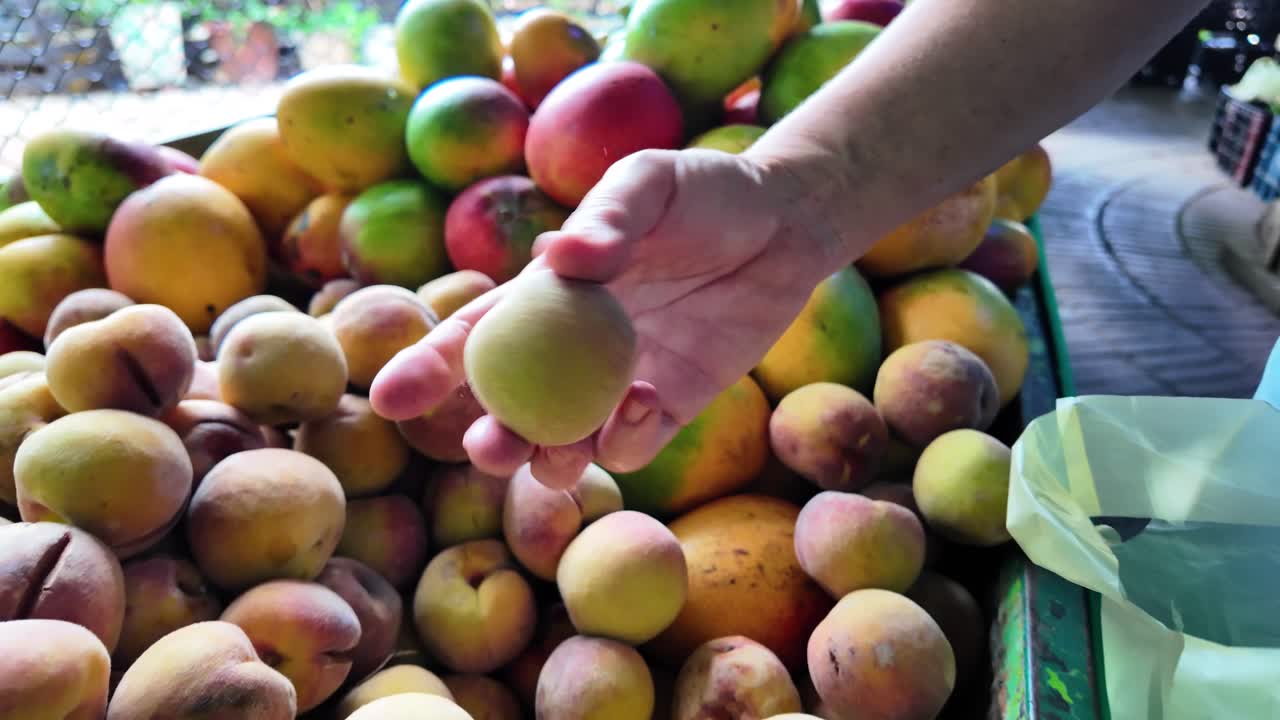 Close-up of female hands selecting peaches from a popular kiosk at an open-air market.