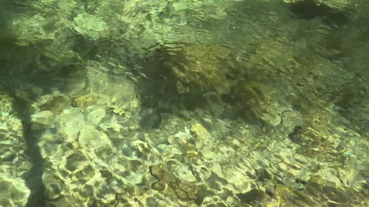 Clear Shallow Water with Rocks