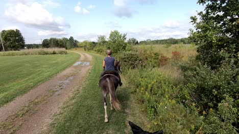 off-road horseback riding during sunny day in crosswinds marsh at wayne county park, michigan