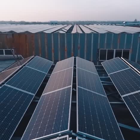 flying over blue photovoltaic panels on roof. solar panels on the buildings in the evening sunlight. green renewable energy. slow motion.