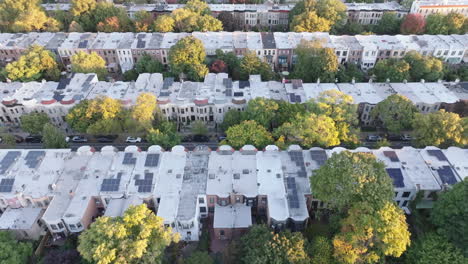 aerial view of brownstones in brooklyn. shot at sunrise in crown heights.