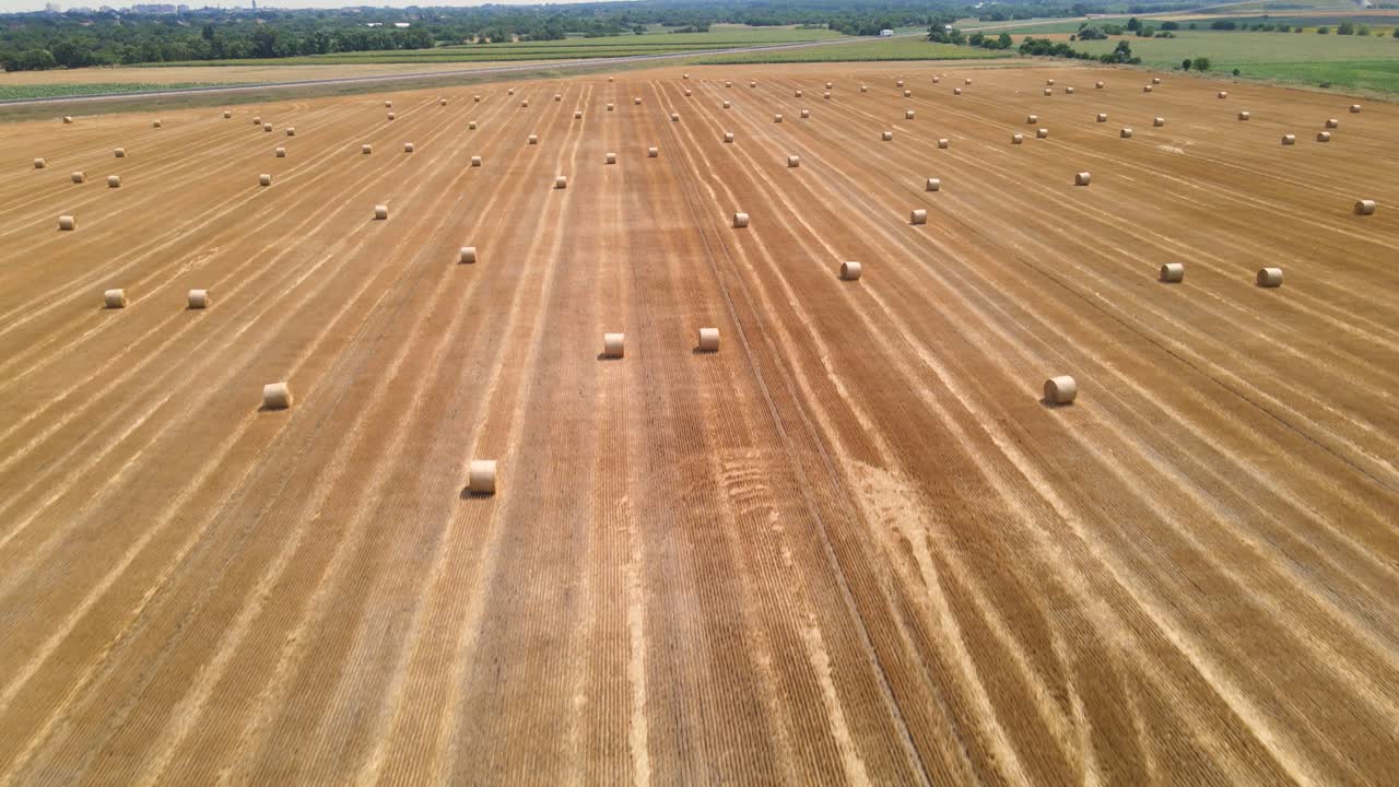 Round straw bales on a harvested hayfield