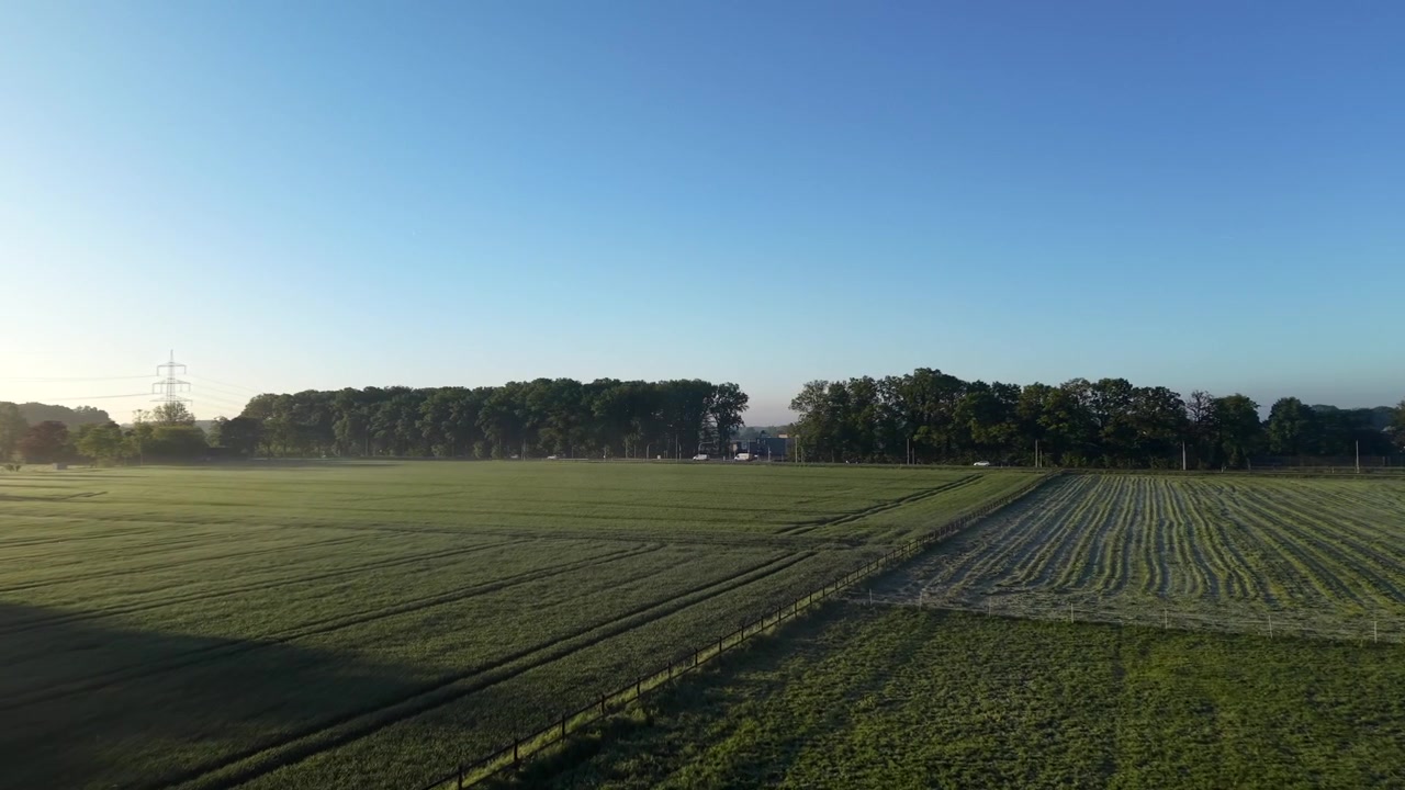 Amerikanische Landschaft mit weiten grünen Feldern, Morgennebel, dichter Baumgrenze, Strommast und warmem goldenen Sonnenaufgangsglühen, das sich unter klarem blauem Himmel erstreckt. Luftaufnahme im Vorwärtsflug. PA, Vereinigte Staaten
