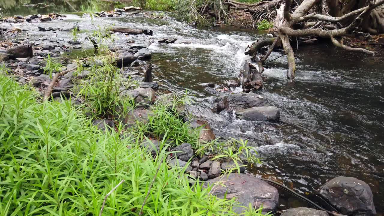 Sungai kecil yang mengalir, air bergerak dalam gerak lambat