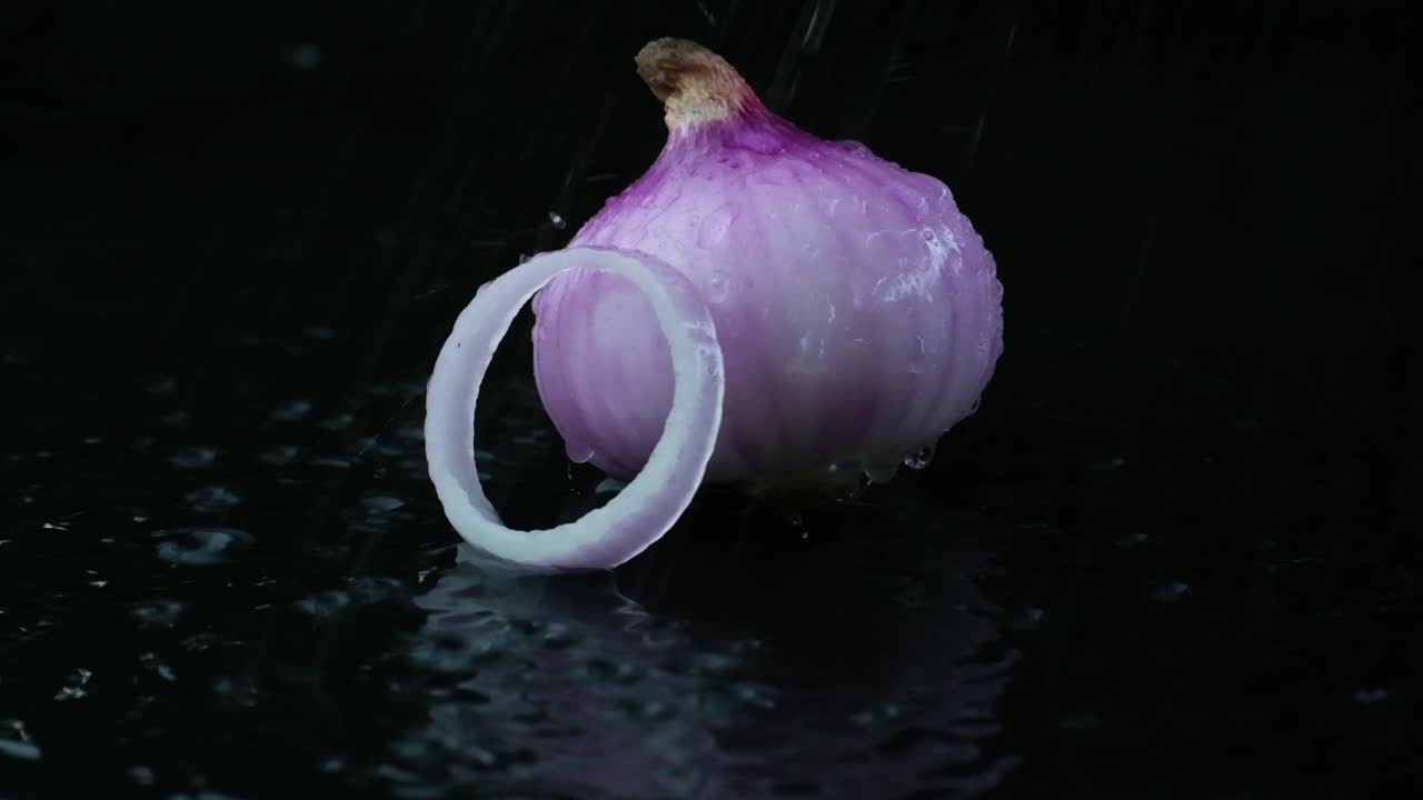 Purple Onion and Onion Ring Splashed With Water in a Puddle of Water