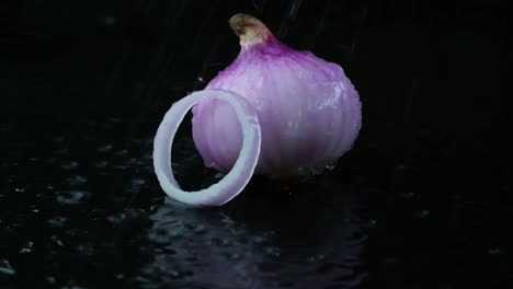 purple onion and onion ring splashed with water in a puddle of water