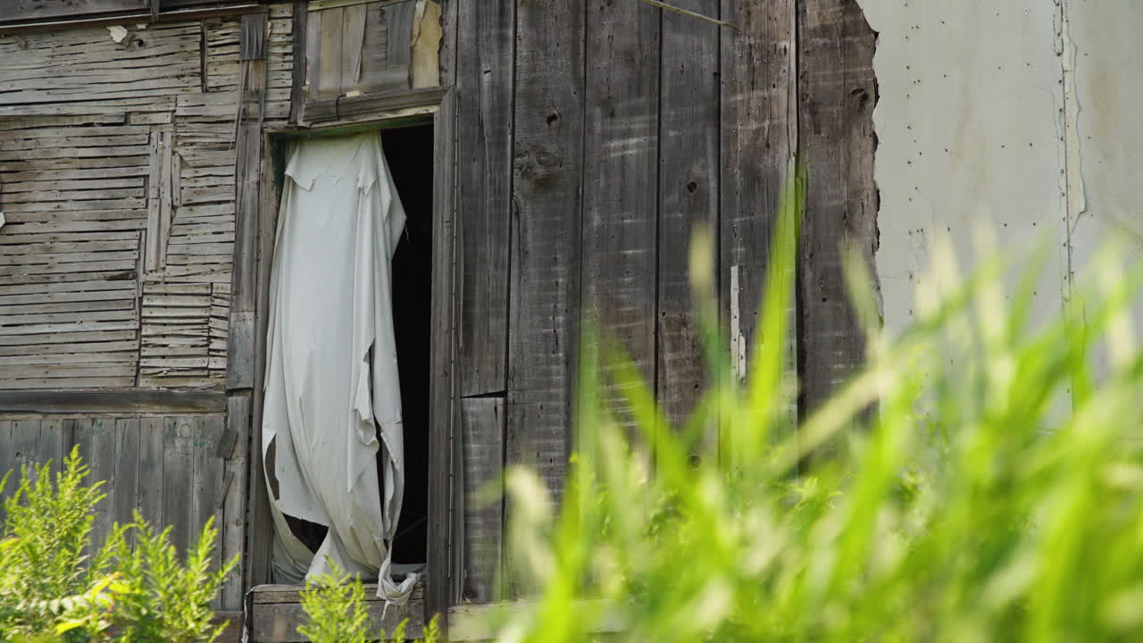 전면에 있는 풀, 파도, 바람에 흔들리는, 끔찍한 버려진 망진창의 집