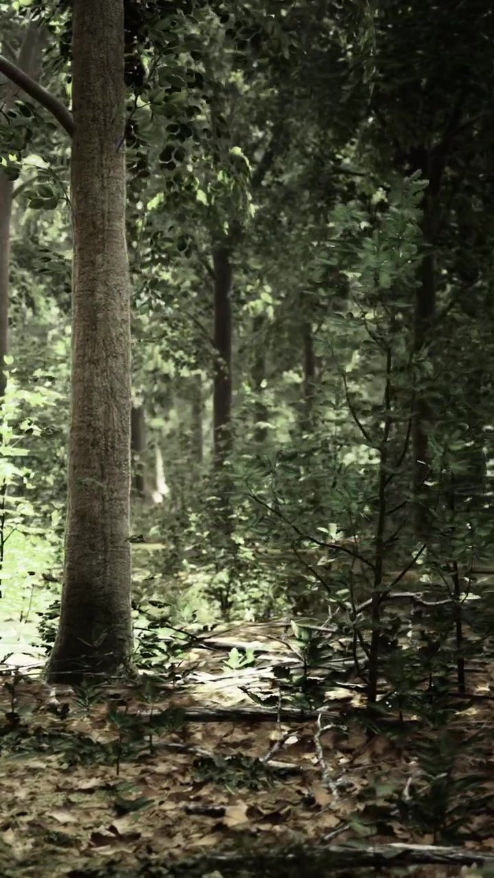 Scena di foresta con alberi e piante in un ambiente naturale durante il giorno