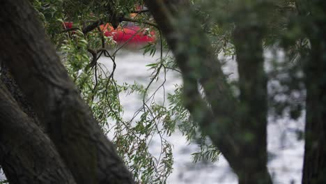 obscured view of boats on water through lush tree foliage