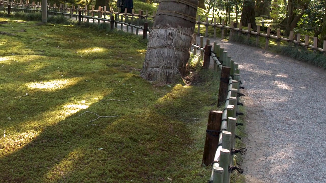 砂利の庭の小道の脇にある緑の苔に当たる木漏れ日を、ゆっくりとしたカメラのパンで捉える。