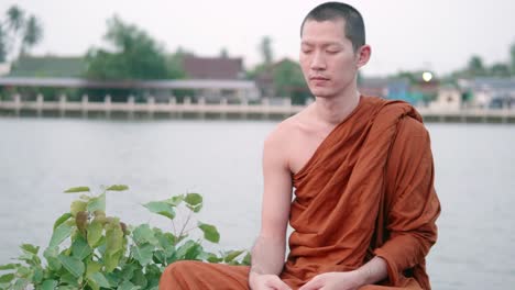 monks were meditating at the waterfront near the bodhi tree