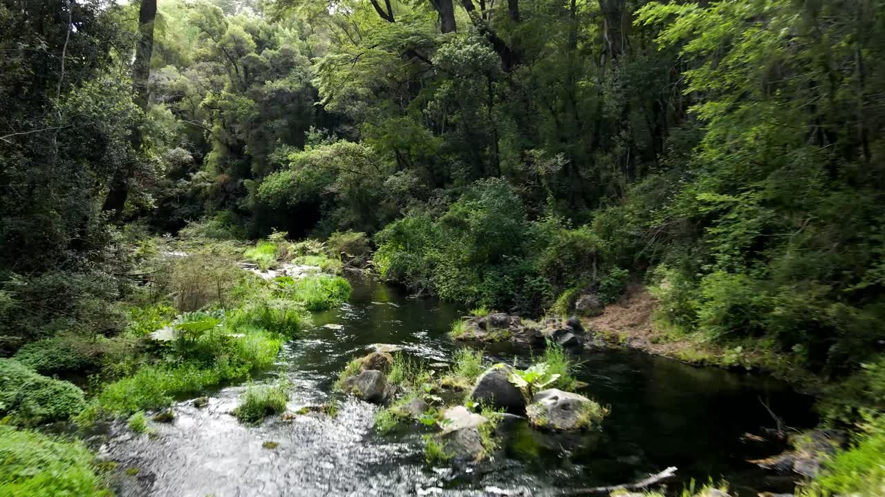 숲과 강의 드론 투어 - 항공