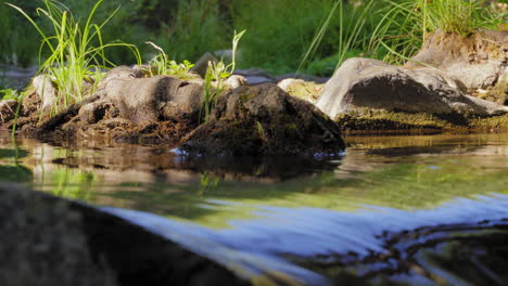 Refreshing-clear-water-flowing-in-a-stream---low-angle-close-up