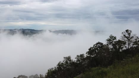 flowing-mist-over-the-low-rainforest-in-mairiporã,-são-paulo,-brazil