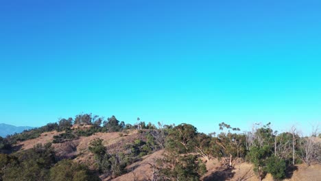 tiro de dron de un globo volando a través de cielos azules y despejados en la cima de una colina con árboles de parque en los ángeles, california